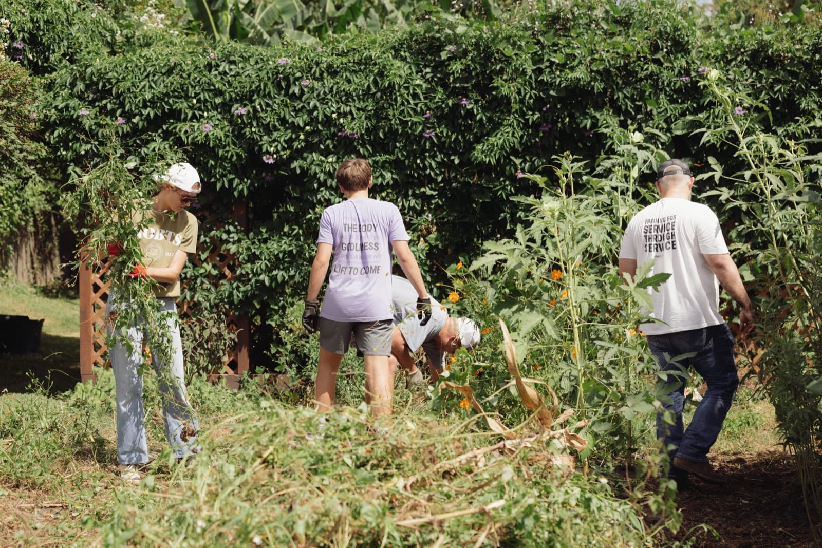 Volunteers clearing overgrown vines and weeds in a community garden