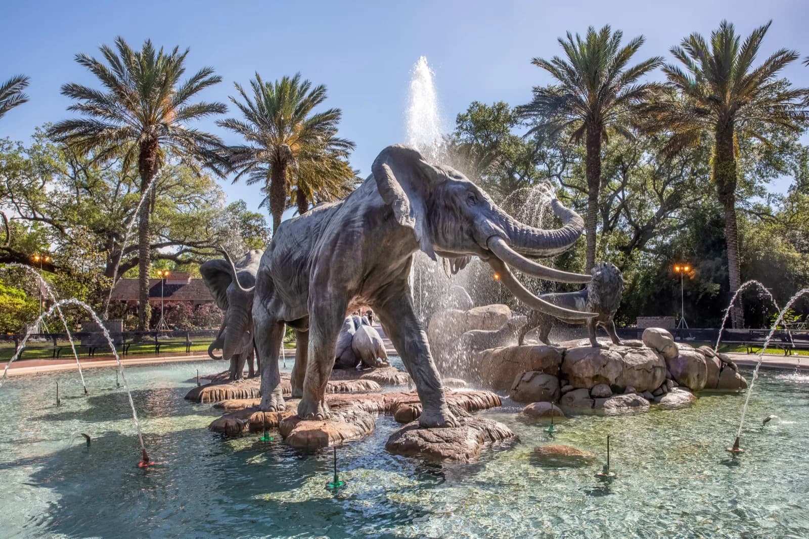 Audubon Zoo