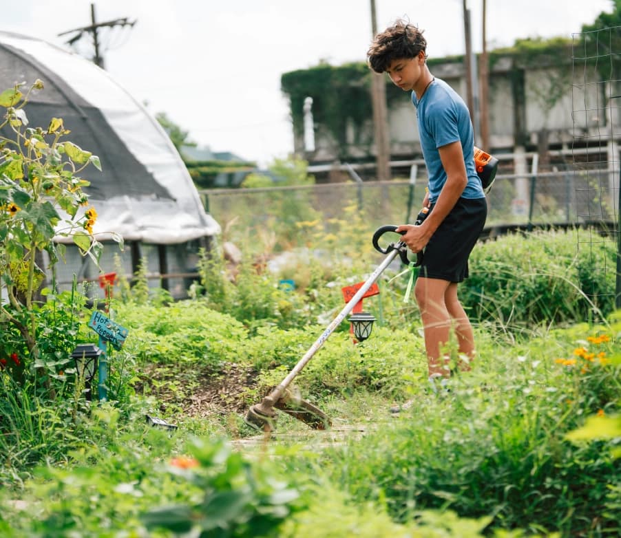 Yard Work & Landscaping