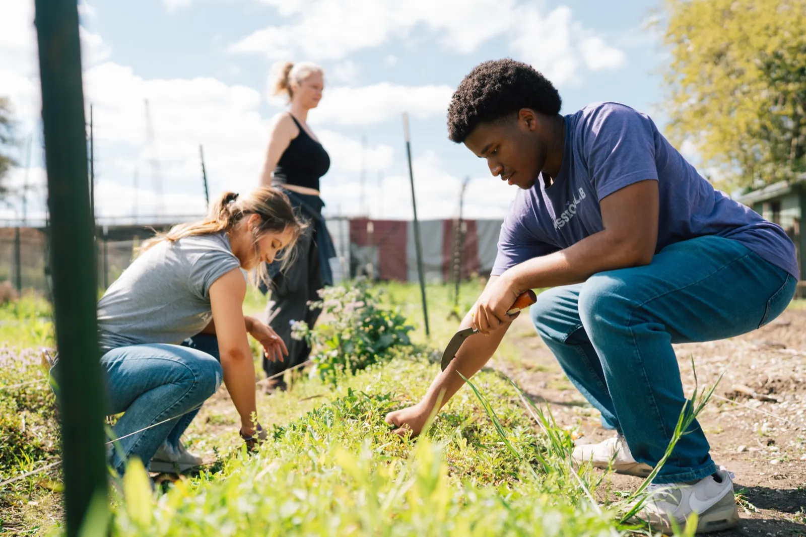Community Gardens